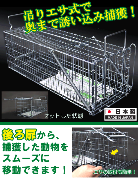 楽天市場】害獣 【捕獲器 両開きL型】W330×H300×D662mm ジャンボ
