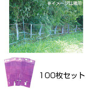 yU~iĂjCmu^p@100Zbgz 悯 JvTCV