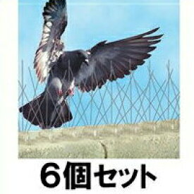 【バードスパイク　6個セット】 鳥 飛来 防止 対策