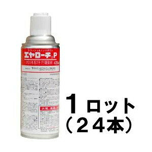 Ɩp E yG[`P 420ml @24{Zbgz tbVOd SLuACG_jAm~AgRW~̒ǂo E 