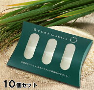 ニーム 虫よけ【虫どろぼう　10個セット】 防虫 害虫 混入 食品 工場 HACCP コクゾウムシ