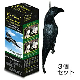 【New防鳥クローン・カラス　3個セット】鳩（ハト） 鳥よけ 対策