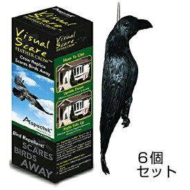 【New防鳥クローン・カラス　6個セット】鳩（ハト） 鳥よけ 対策