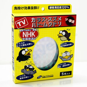 JX ng XY Nh ΍ yUE i5jz 悯 zO V[g