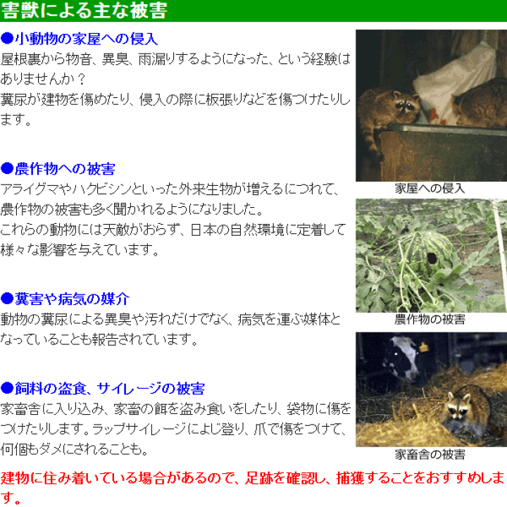 楽天市場 踏板式 捕獲器 改良型 ブラック W26 H31 D81cm アライグマ ハクビシン 野良猫 保護 あっと解消 楽天市場店