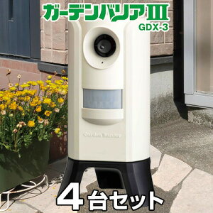 yK[foA3 iGDX-3j ×4Zbgz ǔL 悯 Q ΍ [K戵i]