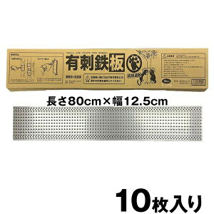 yXeX@LhS@ʎExpi80cm×12.5cmj 10z hb