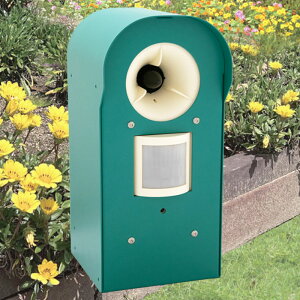 ǔL ΍ p[NoA GDX-S^ ˂悯 dr g lR悯 iƖp K[foAj