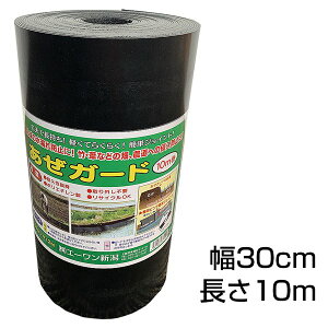  K[h yV[gi30cm×10m/jz c  Ȕ d؂