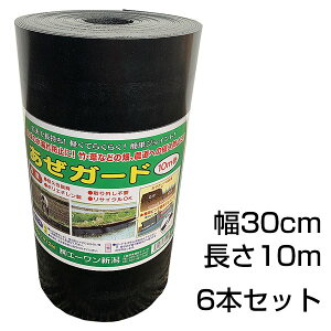  K[h yV[gi30cm×10m/j ×6Zbgz c  Ȕ d؂