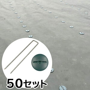 yR^si200mmj  h[^bV[@×50Zbgz