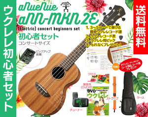 yzaNueNue aNN-MKN2E RT[g EN S҃ZbgENP[XA{iDVDtjAEN `[i[AEN XgbvANXtENS҃ZbgɃR