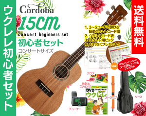 yzCordoba 15CM RT[g EN S҃ZbgENP[XA{iDVDtjAEN `[i[AEN XgbvANXtENS҃ZbgɃR[