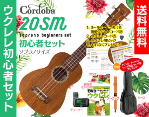 yzCordoba 20SM \vm EN S҃ZbgENP[XA{iDVDtjAEN `[i[AEN XgbvANXtENS҃ZbgɃR[h