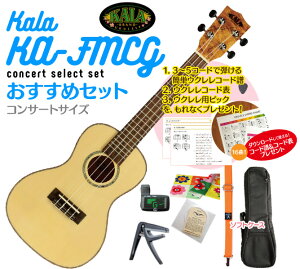 yzKALA KA-FMCG RT[g EN ߃ZbgENP[XAEN `[i[AEN XgbvAEN AEN J|ANXtZbgɃR[h