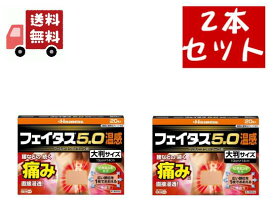 送料無料 2個セット【第2類医薬品】フェイタス5.0 温感 大判 20枚 肩こり 腰痛 プラスター フェルビナク 【代引不可】