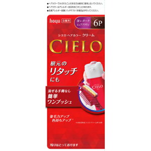  VG wAJ[EX N[ 6P ([_[NsAuE)