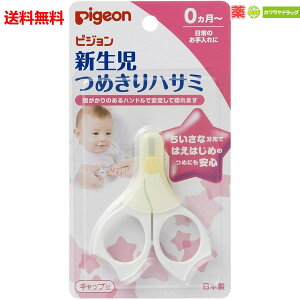  sW pigeon V߂nT~ 0 i0J j ysz