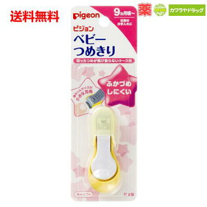  sW xr[߂iĂ^j 9 ipijpigeon ܐ؂ ysz