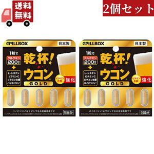�������� 2�Z�b�g �s���{�b�N�X�W���p�� PILLBOX JAPAN ���t �E�R�� GOLD 5���y����s�z