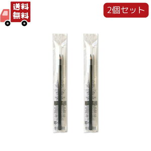 送料無料 2本セット シュウウエムラ ハードフォーミュラ 01 サウンドブラック(4g)