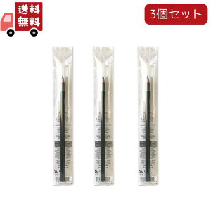 送料無料 3本セット シュウウエムラ ハードフォーミュラ 01 サウンドブラック(4g)