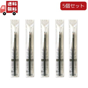 送料無料 5本セット シュウウエムラ ハードフォーミュラ 01 サウンドブラック(4g)