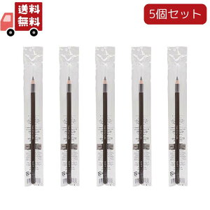 送料無料 5本セット シュウウエムラ ハードフォーミュラ 06 エイコーン(4g)