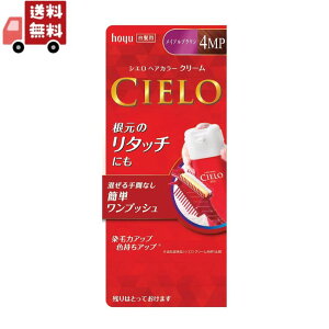  VG wAJ[EXN[ 4MP CvuE 80g