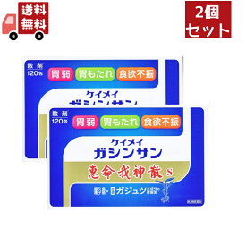 送料無料 2個セット【第2類医薬品】恵命我神散散剤3G×120包×2個セット　胃腸薬　食欲不振　胃部・腹部膨満感　消化不良　胃弱　食べ過ぎ　飲み過ぎ　胸やけ　胃もたれ　胸つかえ　はきけ