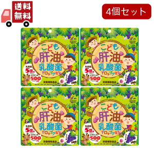  4Zbg ǂ̖_ۃhbvO~ Ԃǂ(100)