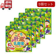 送料無料 5個セット こども肝油＆乳酸菌ドロップグミ ぶどう味(100粒入)