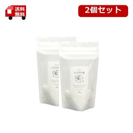 2個セット　送料無料 HOTAPA粒 ホタパ 100粒 洗濯槽クリーナー ランドリー粒 洗濯物 抗菌 防臭 部屋干し臭 カビ取り タブレット 天然由来