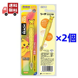  2{Zbg REACH [`LbY uV 炩 ͂p |PbgX^[ tBMAt Ώ۔N6-12 ysz