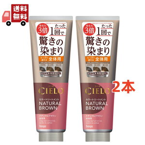  2{Zbg z[[ VG J[g[gg S̗p i`uE 230g