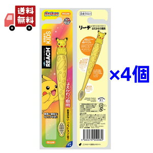  4{Zbg REACH [`LbY uV 炩 ͂p |PbgX^[ tBMAt Ώ۔N6-12 ysz