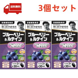 送料無料 3個セット 野口医学研究所 ブルーベリー＆ルテイン 約30日分 (60粒) 栄養補助食品