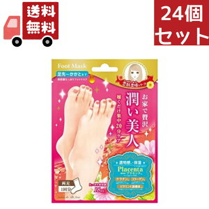  24Zbg@BJtbg}XN BSF301 1 e et    tbgPA lCPA ̌^^Cv   Ƃ 炩  ێ LC Foot Mask r
