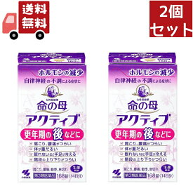 送料無料 2個セット 【第3類医薬品】《小林製薬》 女性保健薬 命の母 アクティブ 168錠