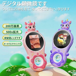 qp ~jnhwh ዾJ 500XY[2MP Ȋwpi av[g  v[g NX}X q̓