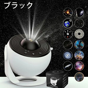 _SALE10%off^vl^Ey12tBfBXNtz ƒp p z[X^[ X^[vWFN^[Cg MNV[Cg 󓊉eCg _//V CgvW