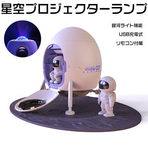 _SALE10%off^CeACg ^C}[@\ FD fR[VCg ϊCg Rg[[   킢 USB[d lCCg vWFN^[ Cg v 