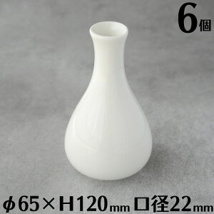 ԕr t[x[X 6Zbg ܂Ƃߔ 12cm zCg k 킢      Vv _ CeA ֑} Ԋ Ɩp Xg ze JtF 