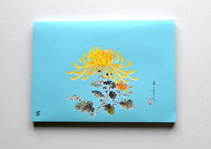 OX݌ɋLip |uevi100j TCY