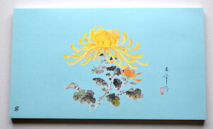 OX݌ɋLip |uevi100j TCY