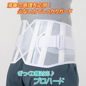 ŃRZbg ͂ɃT|[g wjAɂΉ vn[h Ԃ̌p F qp { E