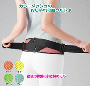 Ճxg    O[ F J[bV^Cv oAXcCXg ̓MA^Cv  Ջ t[TCY ocCpi {