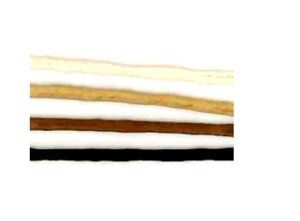 lp[L[@GNg[C^At@bVU[~݌Ɍ