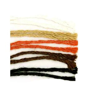 lp[L[@GNg[@ю@X[p[VNVu[݌Ɍ