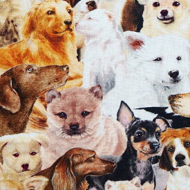 楽天市場 犬柄 生地 素材 生地 毛糸 シーチング の通販 楽天市場 犬柄 生地 素材 生地 毛糸 シーチング の通販